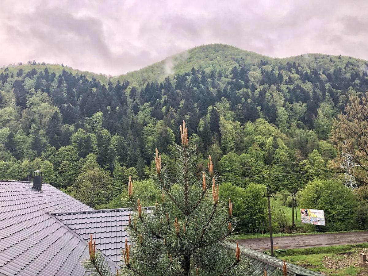 Motel Царська Гора à Mizhhirya  Extérieur photo